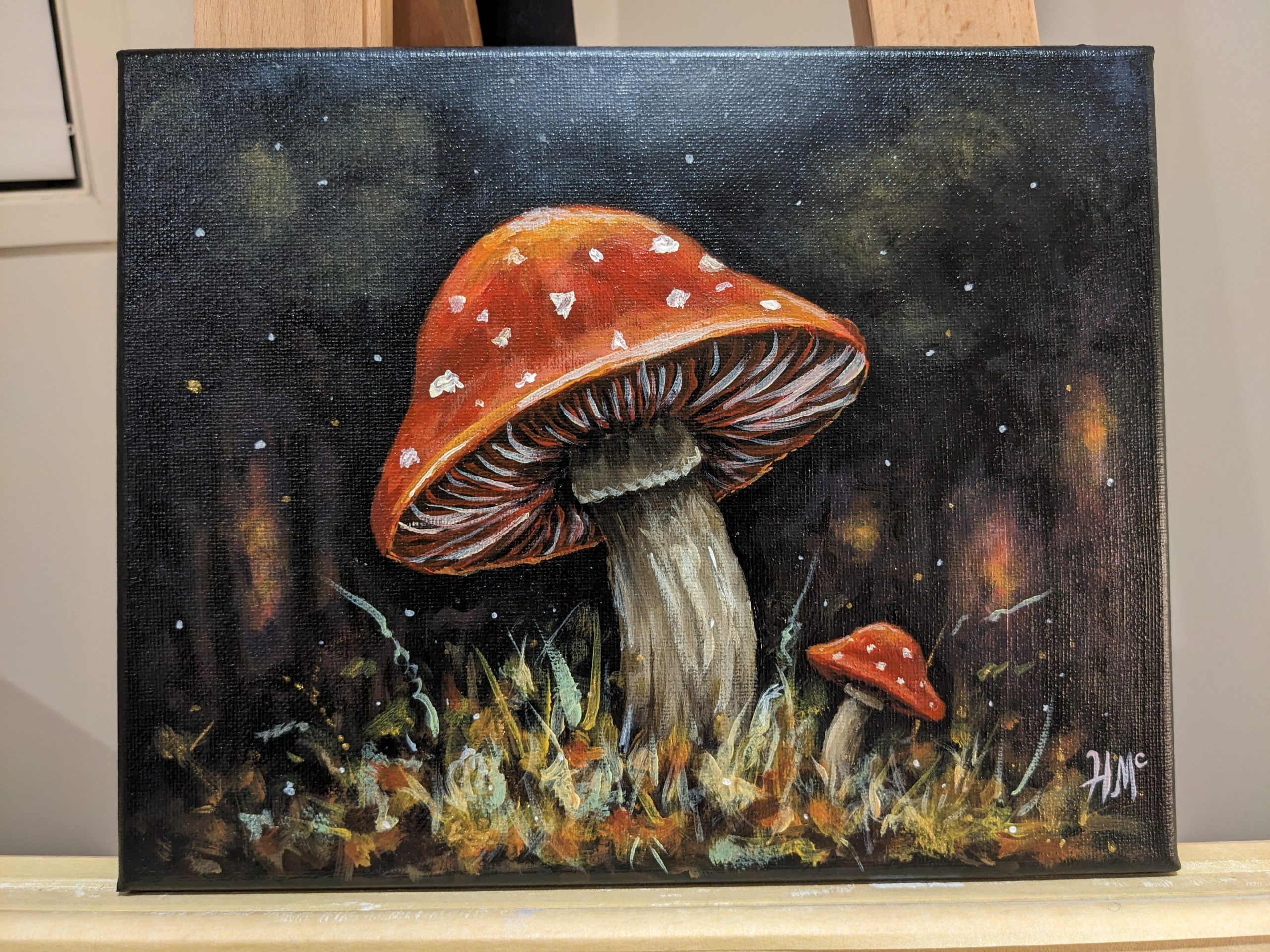 Magic Toadstools in a dark forest.