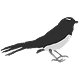 Wagtail Studios